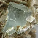 Beryl (Var: Aquamarine), Muscovite - image 2