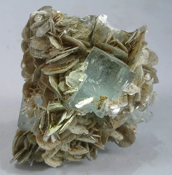 Beryl (Var: Aquamarine), Muscovite image