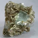 Beryl (Var: Aquamarine), Muscovite - image 1