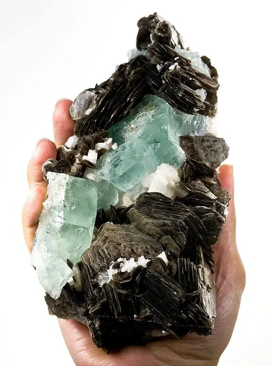 Beryl (Var: Aquamarine), Muscovite image