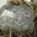 Beryl (Var: Aquamarine), Muscovite - image 2