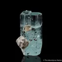 Beryl var. Aquamarine, Muscovite, Schorl - image 1