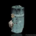 Beryl var. Aquamarine, Muscovite, Schorl - image 3