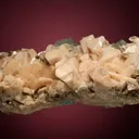 Beryl var. Aquamarine on Albite var. Pericline - image 5