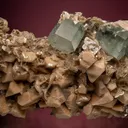 Beryl var. Aquamarine on Albite var. Pericline - image 1