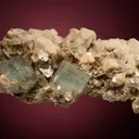 Beryl var. Aquamarine on Albite var. Pericline - image 4