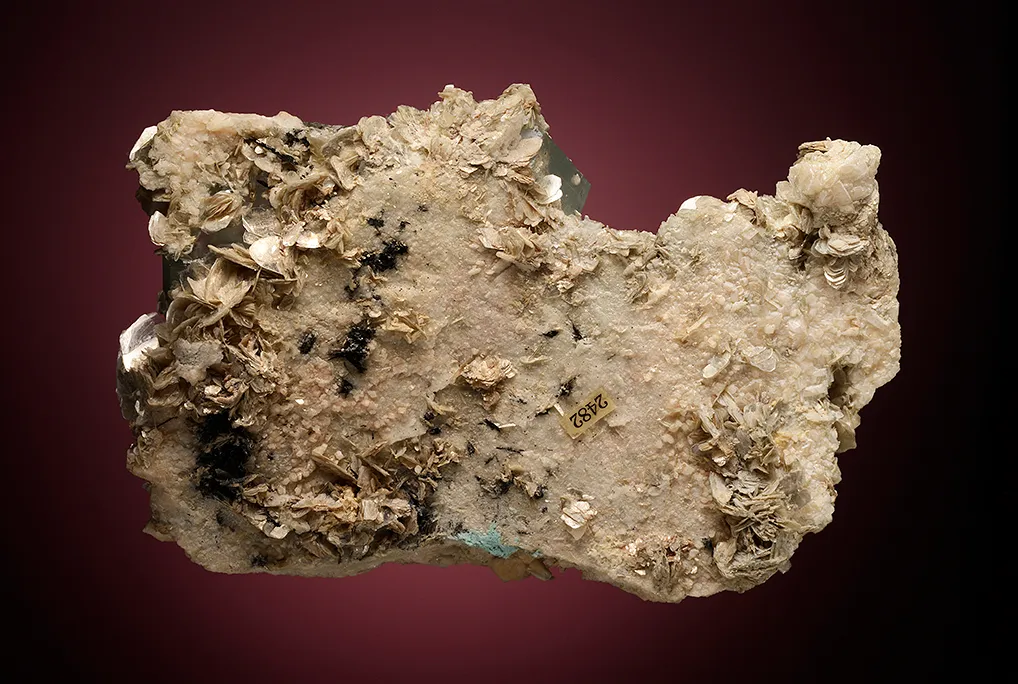 Beryl var. Aquamarine on Albite var. Pericline - image 3