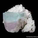 Beryl var. Aquamarine on Feldspar - image 1
