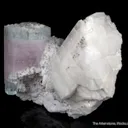 Beryl var. Aquamarine on Feldspar - image 4