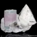 Beryl var. Aquamarine on Feldspar - image 6