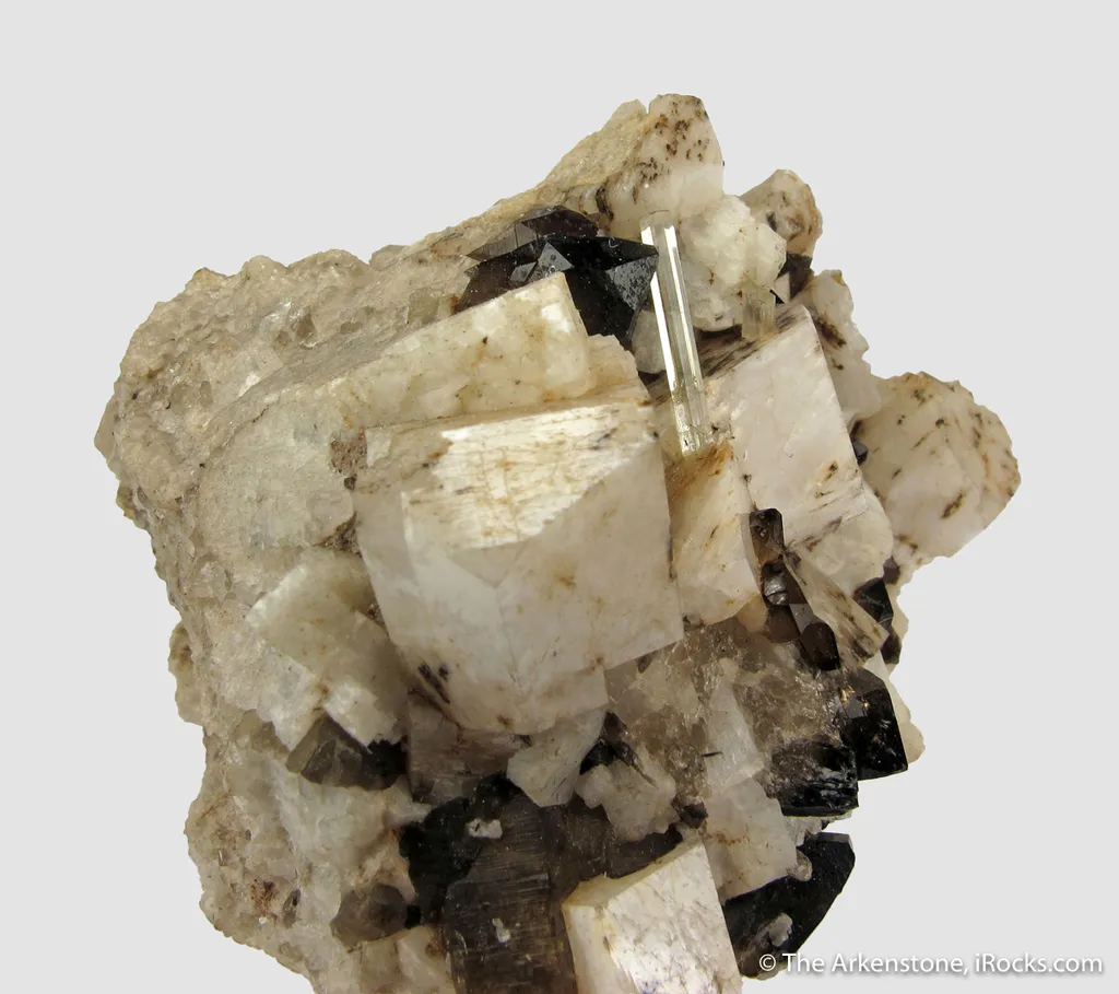Beryl var. Aquamarine on K Feldspar (fl), Albite (fl) and Smoky Quartz - image 4