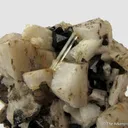 Beryl var. Aquamarine on K Feldspar (fl), Albite (fl) and Smoky Quartz - image 2