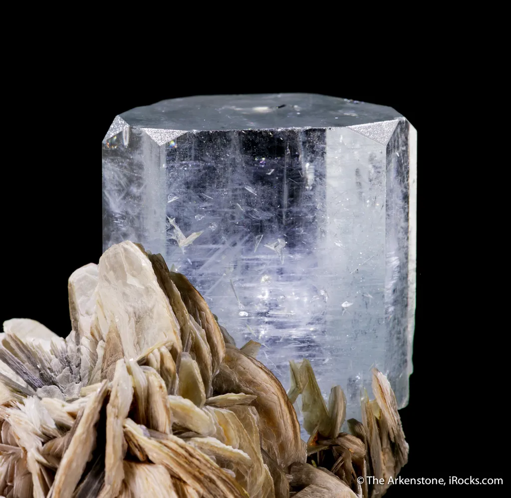Beryl var. Aquamarine on Muscovite - image 4