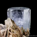 Beryl var. Aquamarine on Muscovite - image 4
