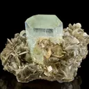 Beryl Var. Aquamarine on Muscovite - image 4