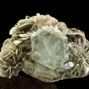 Beryl Var. Aquamarine on Muscovite - image 3