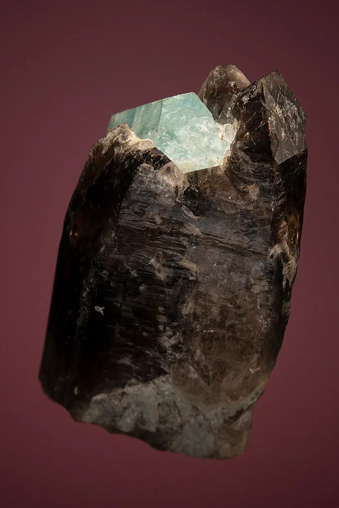 Beryl var. Aquamarine on Quartz var. Smoky - image 4