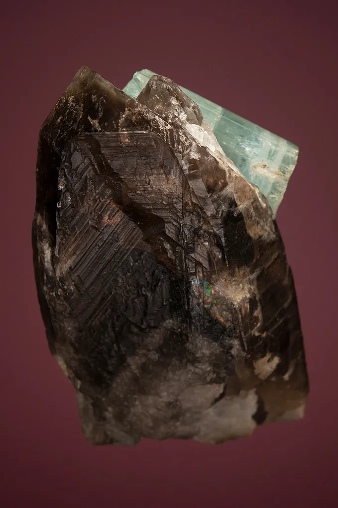 Beryl var. Aquamarine on Quartz var. Smoky - image 3