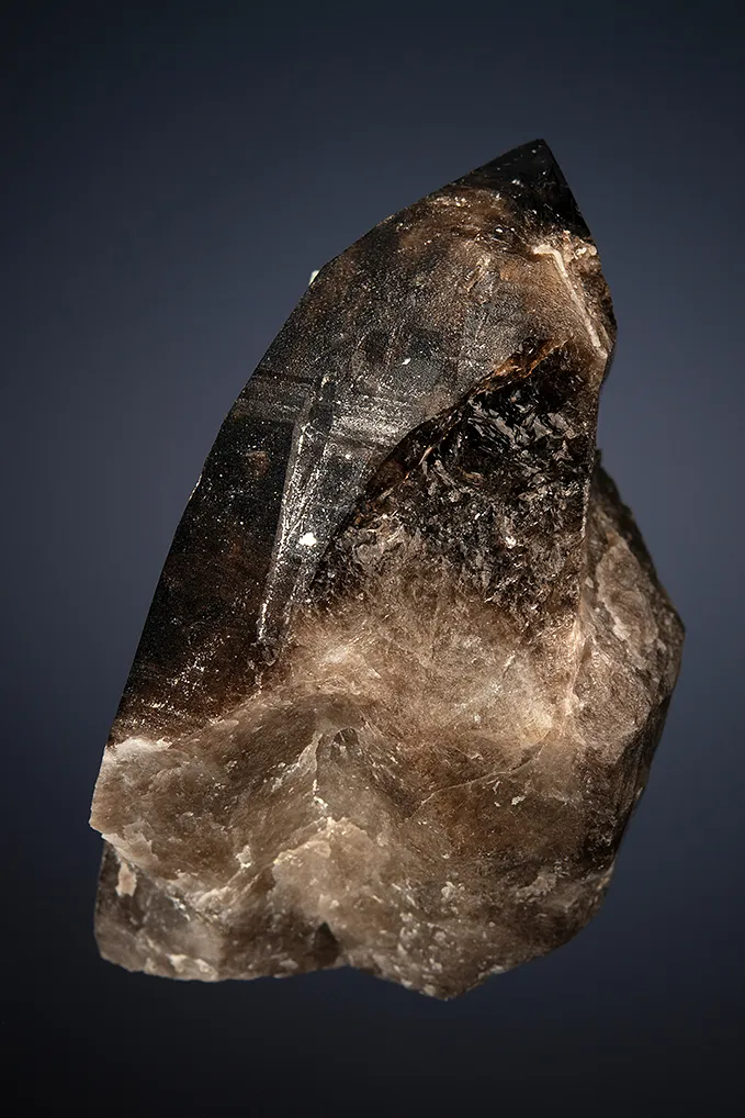 Beryl var. Aquamarine on Quartz var. Smoky - image 3