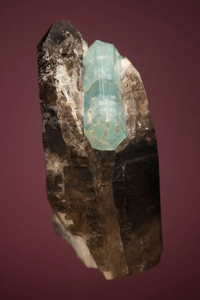 Beryl var. Aquamarine on Quartz var. Smoky - image 2