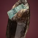 Beryl var. Aquamarine on Quartz var. Smoky - image 1