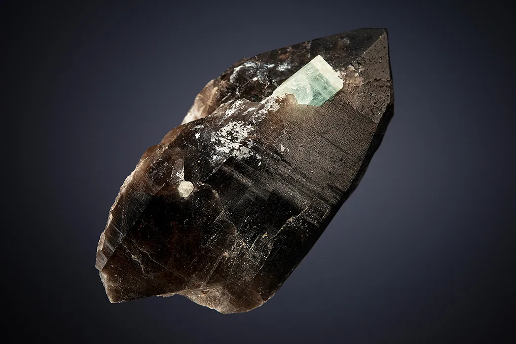 Beryl var. Aquamarine on Quartz var. Smoky - image 5
