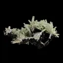 Beryl var. Aquamarine on Schorl - image 5