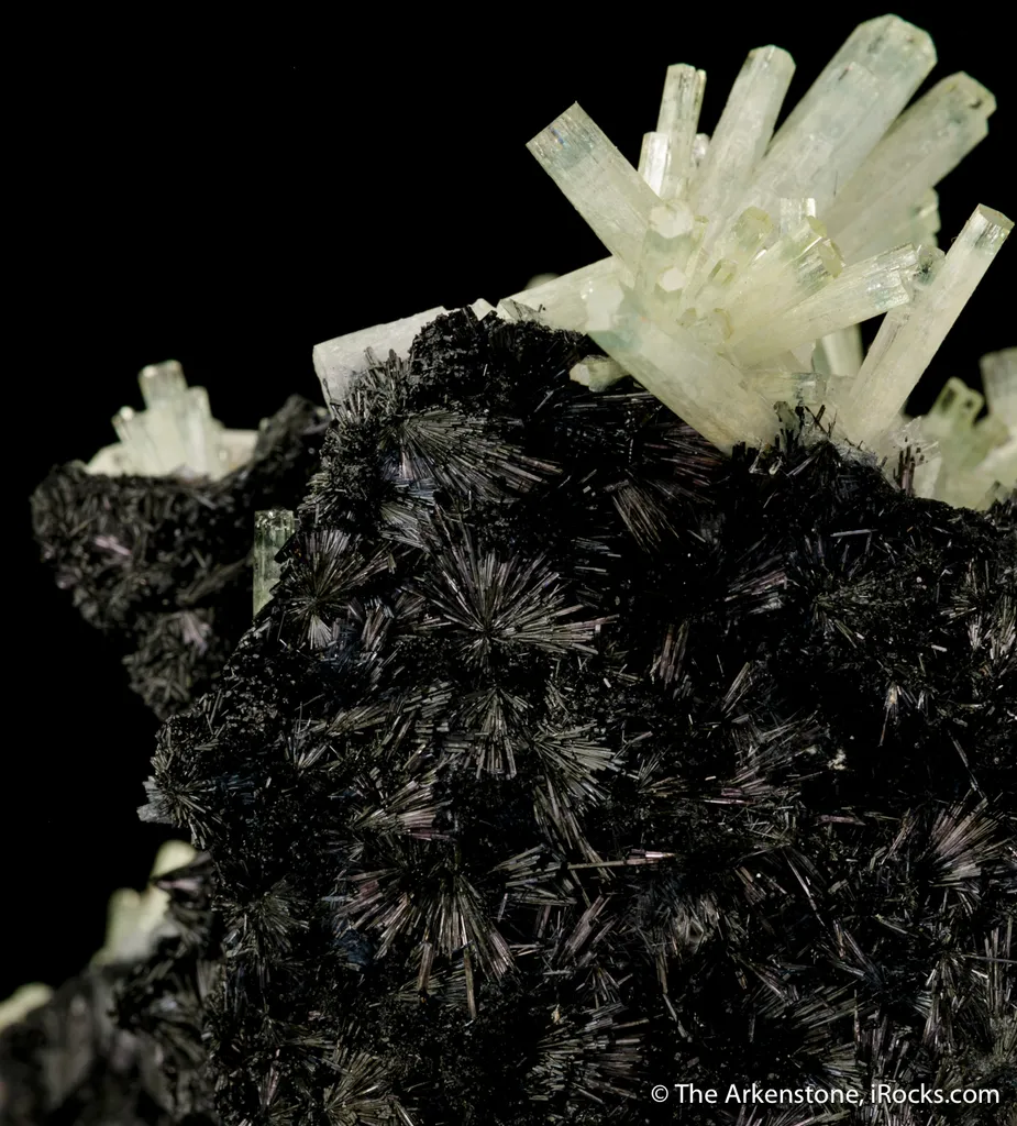 Beryl var. Aquamarine on Schorl - image 4
