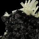 Beryl var. Aquamarine on Schorl - image 4