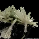 Beryl var. Aquamarine on Schorl - image 1
