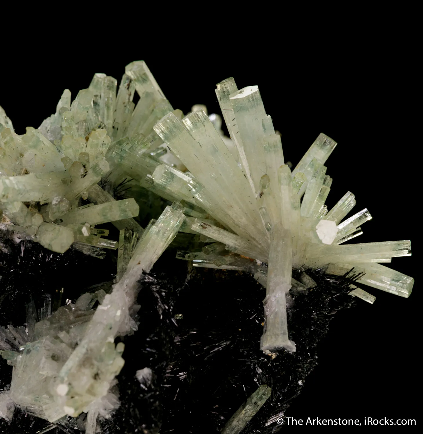 Beryl var. Aquamarine on Schorl - image 1