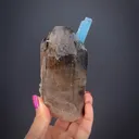 Beryl var. Aquamarine on Smoky Quartz - image 1