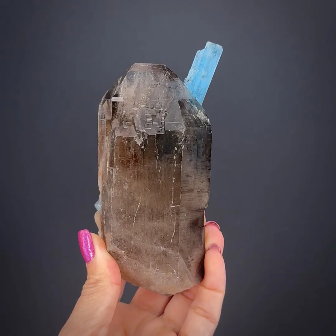 Beryl var. Aquamarine on Smoky Quartz - image 1