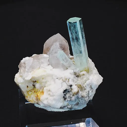specimen video