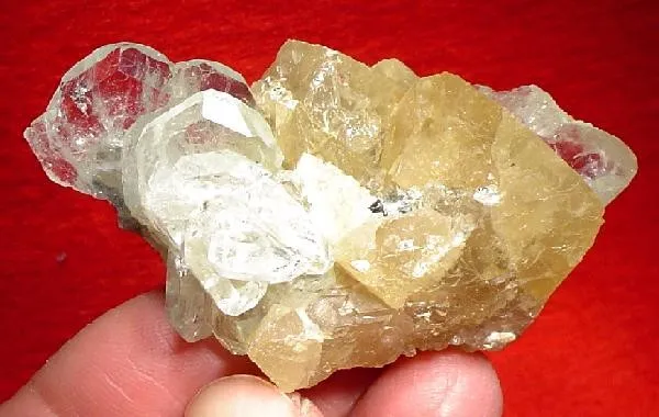 Beryl (Var: Aquamarine), Scheelite image