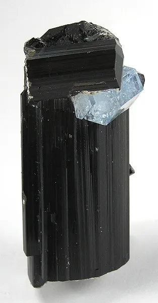 Beryl (Var: Aquamarine), Schorl image
