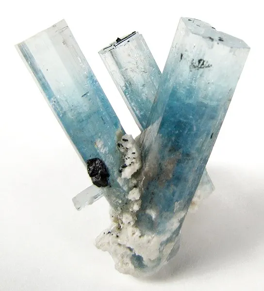 Beryl (Var: Aquamarine), Schorl image