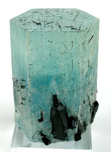 Beryl (Var: Aquamarine), Schorl image