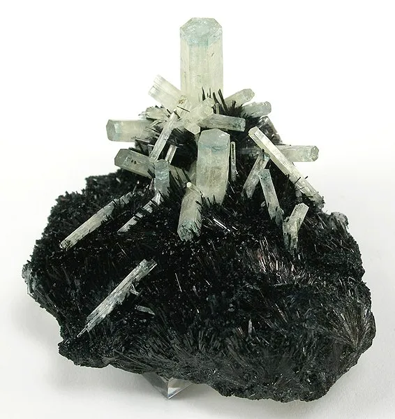 Beryl (Var: Aquamarine), Schorl image