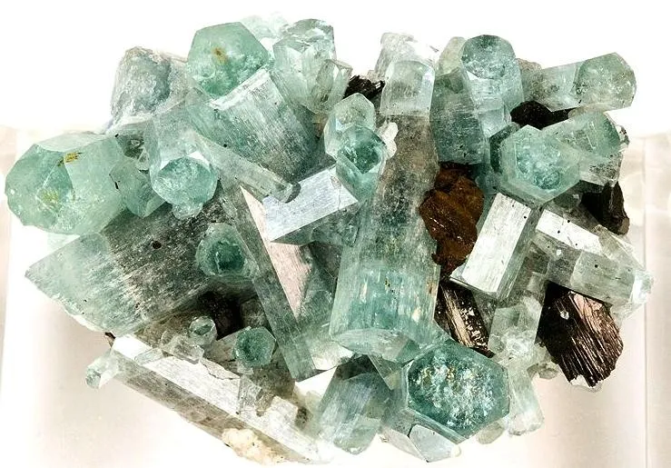Beryl (Var: Aquamarine), Schorl image