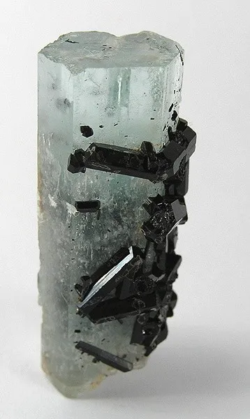 Beryl (Var: Aquamarine), Schorl image