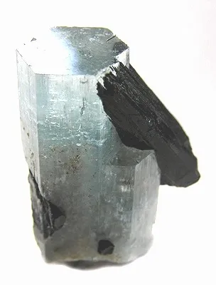 Beryl (Var: Aquamarine), Schorl image