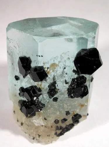 Beryl (Var: Aquamarine), Schorl image