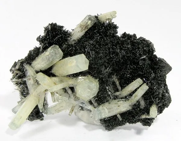 Beryl (Var: Aquamarine), Schorl image