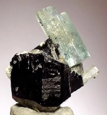 Beryl (Var: Aquamarine), Schorl image