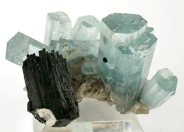 Beryl (Var: Aquamarine), Schorl image