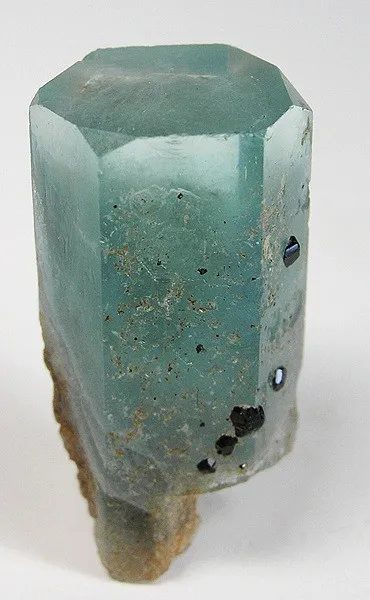 Beryl (Var: Aquamarine), Schorl image