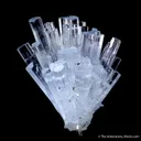 Beryl var. Aquamarine spray - image 3