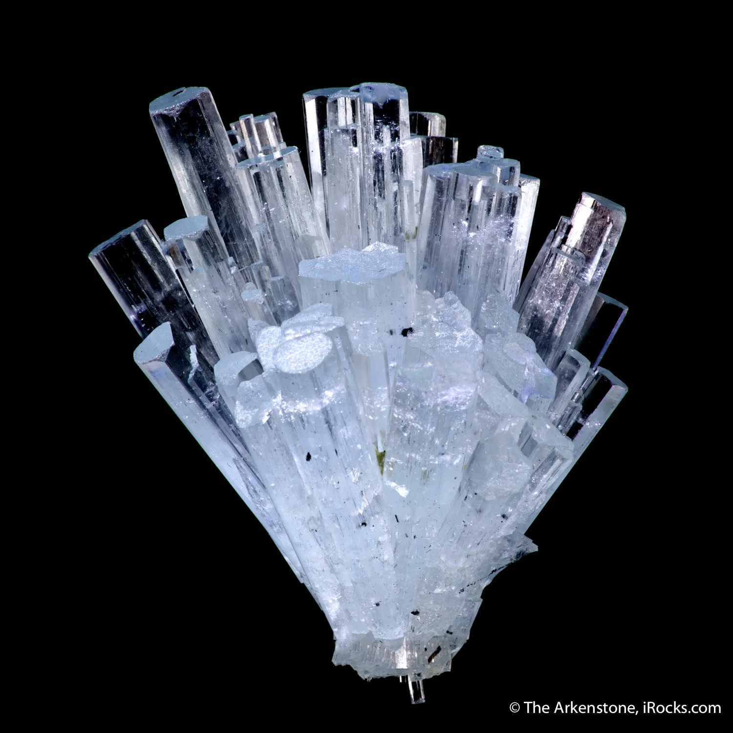 Beryl var. Aquamarine spray - image 3