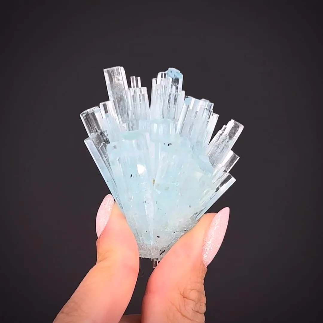 Beryl var. Aquamarine spray - image 1